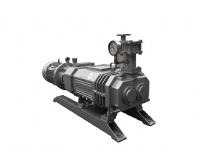 Screw vacuum pump