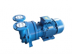 2BV series water ring vacuum pump